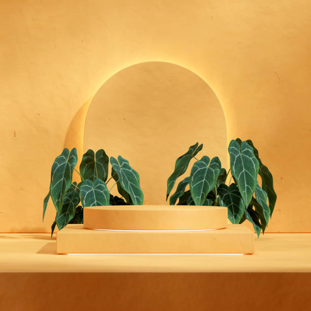 istock blank mockup yellow cylinder podium in square textured wall and green anthurium, 3d render image 1491885019