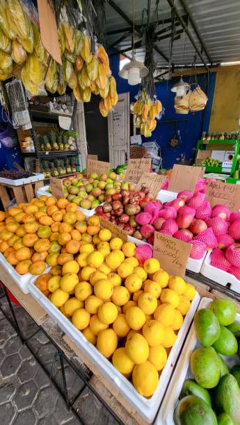 istock Colorful fruits at fruit shop 1491885133