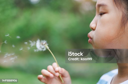 istock Child Blowing Away Dandelion 1491888906