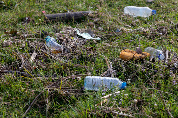 istock Pollution of the environment 1491890994