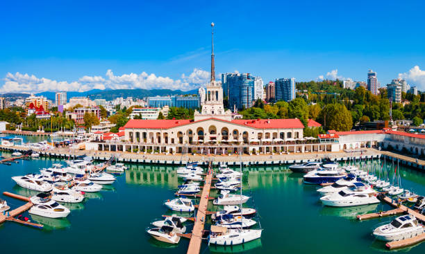 istock Sochi aerial panoramic view, Russia 1491893950