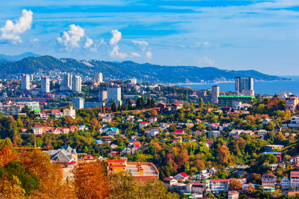 istock Sochi aerial panoramic view, Russia 1491894879