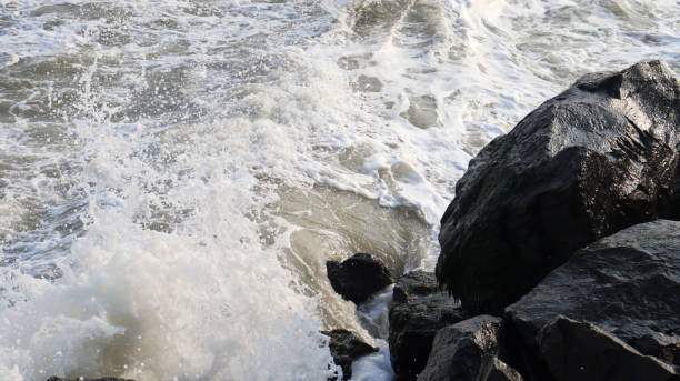 istock Beach sea waves and sea foams. seawater background. sea waves pattern 1491896442