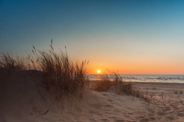 istock Sunset at Baltic sea beach in Latvia 1491916780
