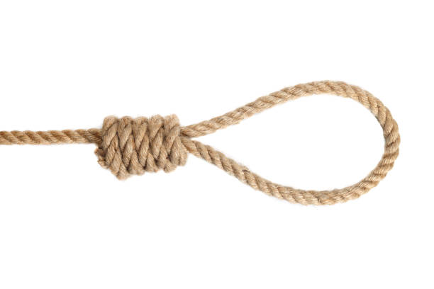 istock Rope noose isolated on white, a loop of rope for hanging 1491945764
