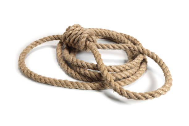 istock Lynch rope noose for hanging isolated on white 1491945770