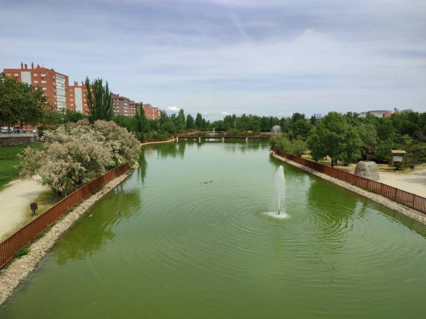 istock Lake Loranca Park - FUENLABRADA 1491948575