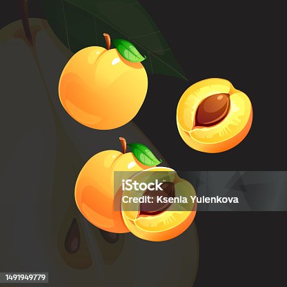 istock Orange Juicy Bright Fresh Ripe Apricot Vector Illustration 1491949779