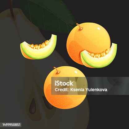 istock Yellow Juicy Bright Fresh Ripe Melon Vector Illustration 1491950851