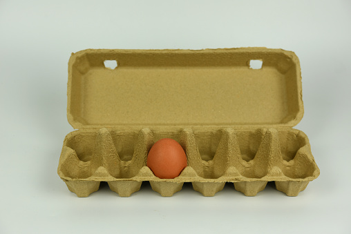A single egg in carton package isolated on a white background . an egg in carton packaging.