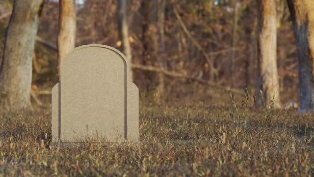 Grave in cemetery located in park in sunlight. 3d animation