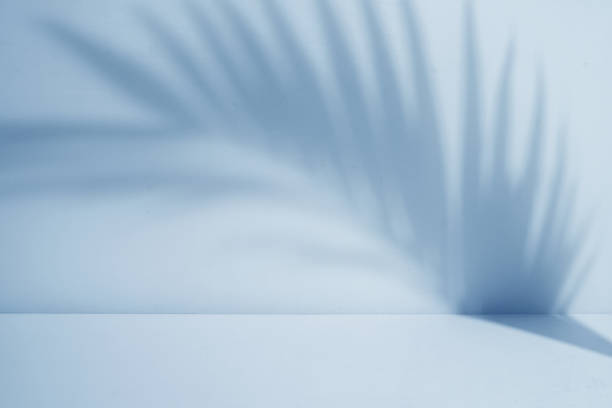 istock Minimalist palm leaf shadow. Display room with soft shadow overlay 1491970568