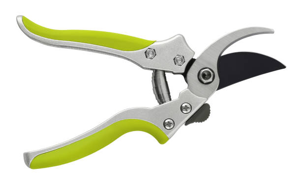 gardening tool equipment. single steel garden scissor with green plastic grip for pruned or plants, and flowers garden work. pruning of vineyard or fruit tree. top view isolated with clipping path - hedge shear imagens e fotografias de stock