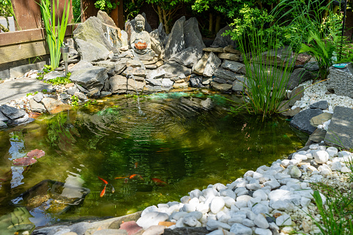 A preformed pond liner newly installed in a garden.