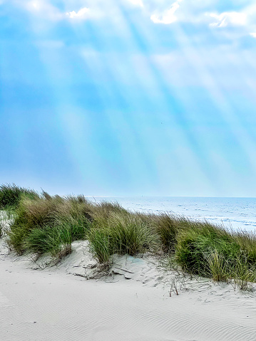North Sea beach with sand dunes, sunbeams  and marram grass in Middelkerke, a coastal community in West Flanders in Belgium.