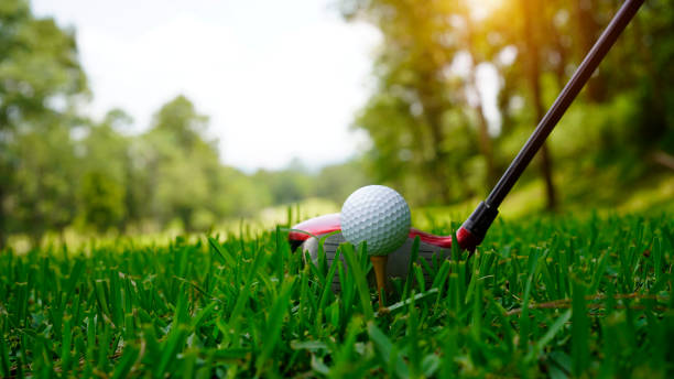 istock Golf ball and golf club in beautiful golf course at Thailand. 1491982682