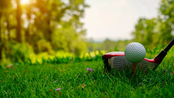 istock Golf ball and golf club in beautiful golf course at Thailand. 1491983256