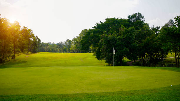 istock Beautiful golf course in a sunny day. Background evening golf course has sunlight shining down. 1491983905