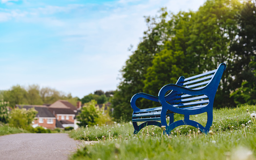 Bench in the local park on Spring fields, Blue Metal stylish Bench in the Park with Green Lawn on Summer Background, Retro vintage  tone