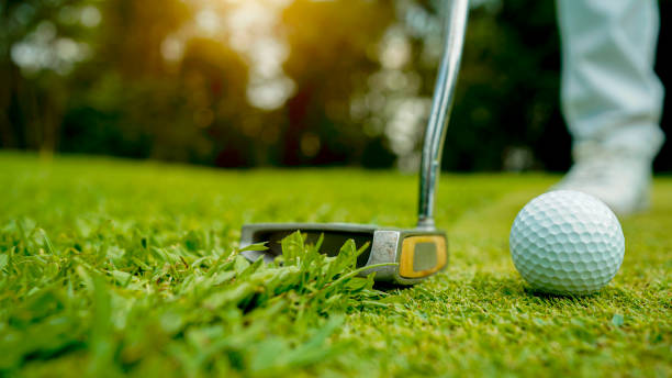 istock Golf balls that are going to be hole by golfers at the green grass golf course at sunset. 1491984507