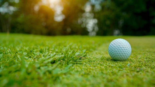 istock Golf ball on green grass in the evening golf course with sunshine background. 1491984522