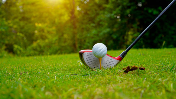 istock Golf ball and golf club in a beautiful golf course in Thailand. 1491985132