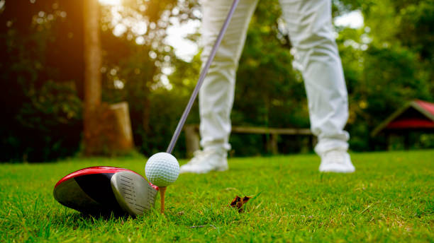 istock Golfer playing golf in the evening golf course, on sun set evening time. 1491985133