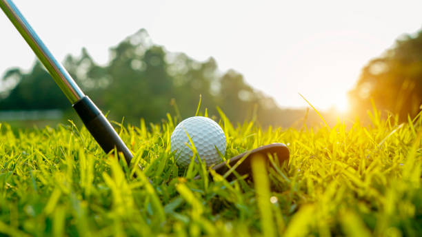 istock Golf ball and golf club in beautiful golf course at Thailand. 1491985149
