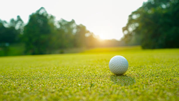 istock Golf ball on green grass in the evening golf course with sunshine background. 1491985156
