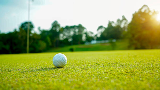 istock Golf ball on green grass in the evening golf course with sunshine background. 1491985165