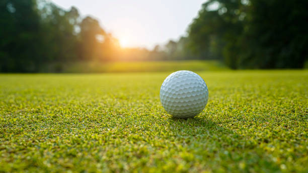 istock Golf ball on green grass in the evening golf course with sunshine background. 1491985188