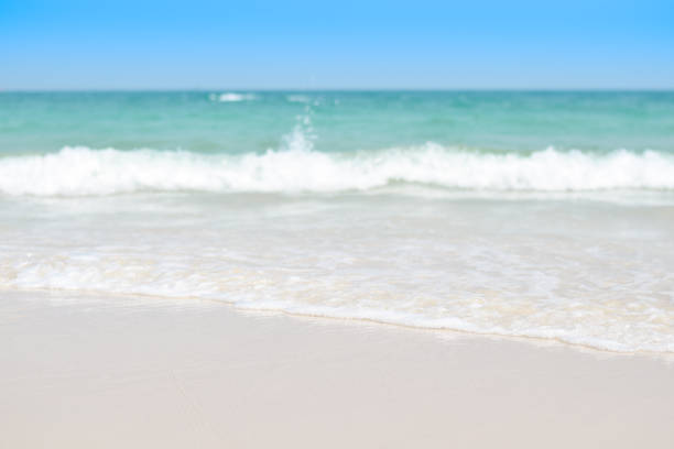 istock beautiful sandy beach and soft blue ocean wave. summer background concept 1491985231