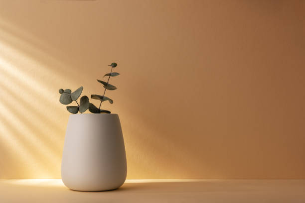 istock White vase with green eucalyptus leave 1491986946