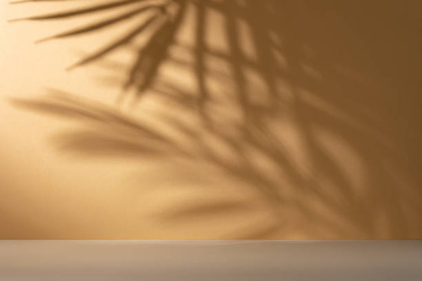 istock Yellow background with palm leaves shadows 1491987179