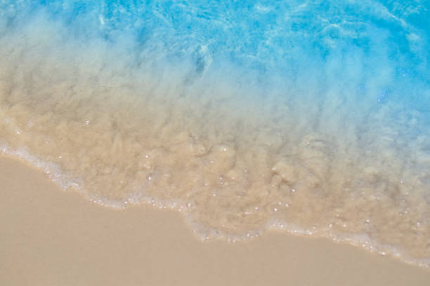 istock beautiful sandy beach and soft blue ocean wave. summer background concept 1491994754