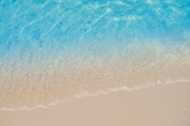 istock beautiful sandy beach and soft blue ocean wave. summer background concept 1491995357