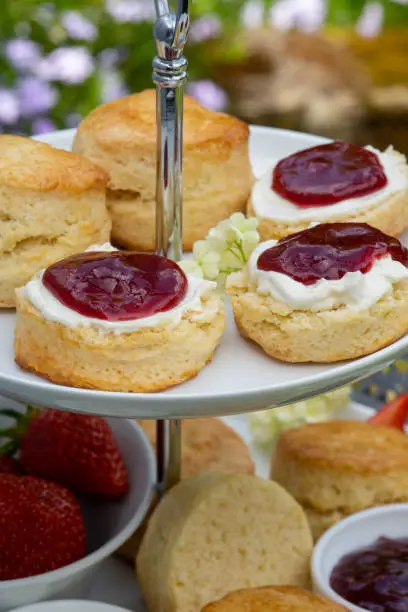 food, pastry, baked scones with raspberry jam and clotted cream at teatime, close up