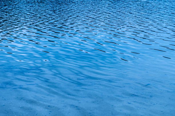 Water surface. Blue water background with soft waves. Texture of the water surface.