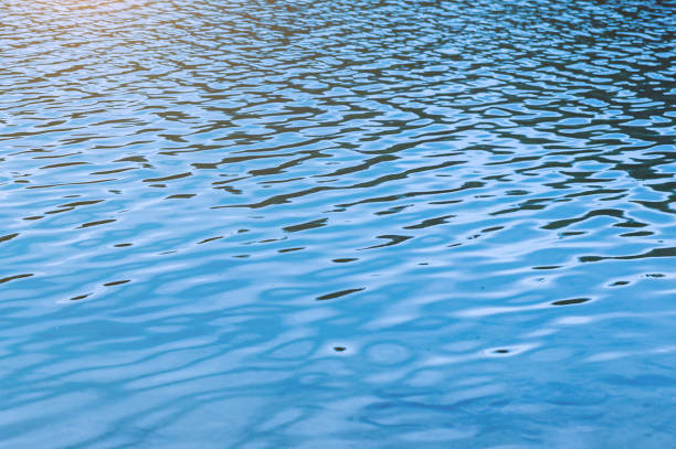 istock Water surface. Blue water background with soft waves. Texture of the water surface. 1491996298