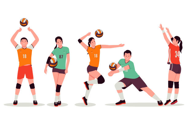 illustrations, cliparts, dessins animés et icônes de ensemble d’illustrations vectorielles de joueurs de volleyball - volleyball volleying women female