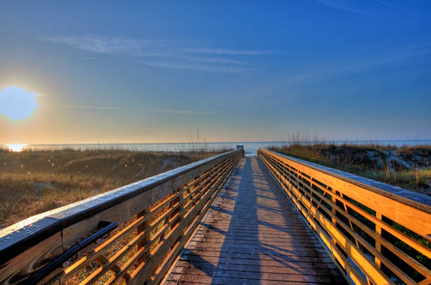 istock Beach Sunrise with boardwalk-Hilton Head, South Carolina 1492006723