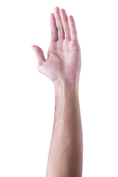 istock Male hand reach and ready to help or receive. Gesture isolated on white background. 1492013938
