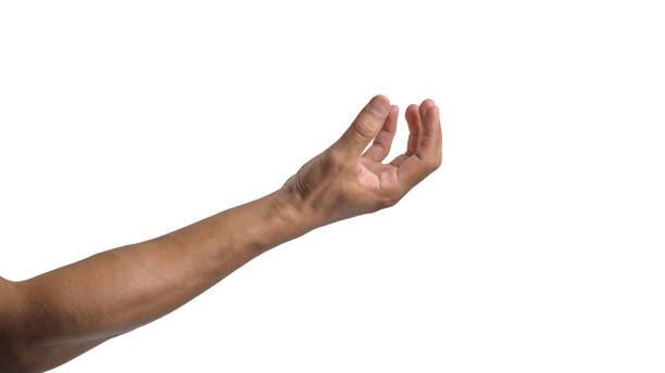 istock Man's Hands in Various Poses on Transparent or White Background 1492016195