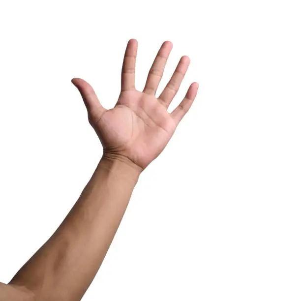 Photo of Man's Hands in Various Poses on Transparent or White Background