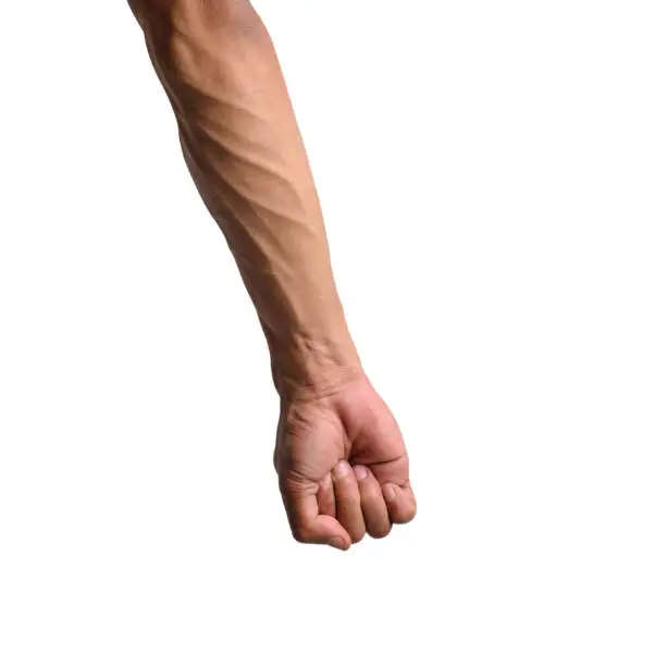 Photo of Man's Hands in Various Poses on Transparent or White Background