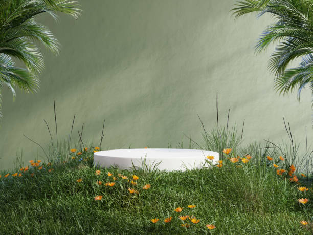 istock White podium in meadow for product presentation and on transparent background.3d rendering 1492020948