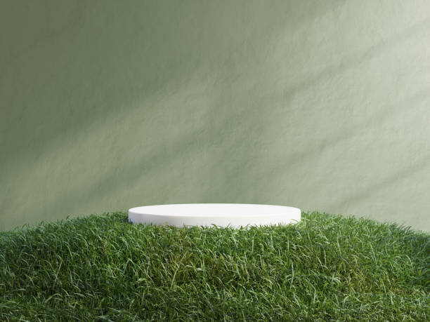 White podium in meadow for product presentation and on transparent background.3d rendering