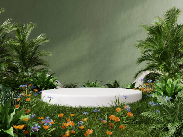 istock White podium in meadow for product presentation and on transparent background.3d rendering 1492020973