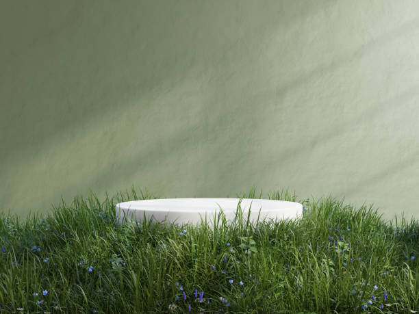 istock White podium in meadow for product presentation and on transparent background.3d rendering 1492020986