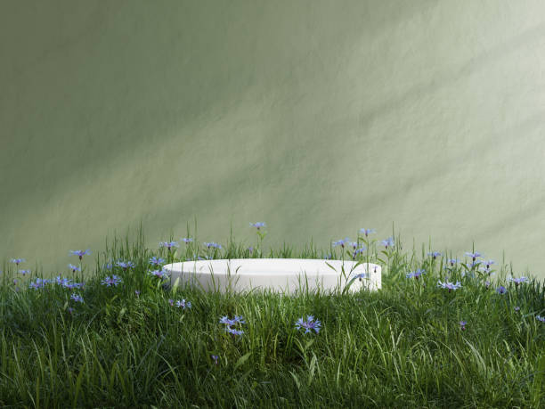 istock White podium in meadow for product presentation and on transparent background.3d rendering 1492021002
